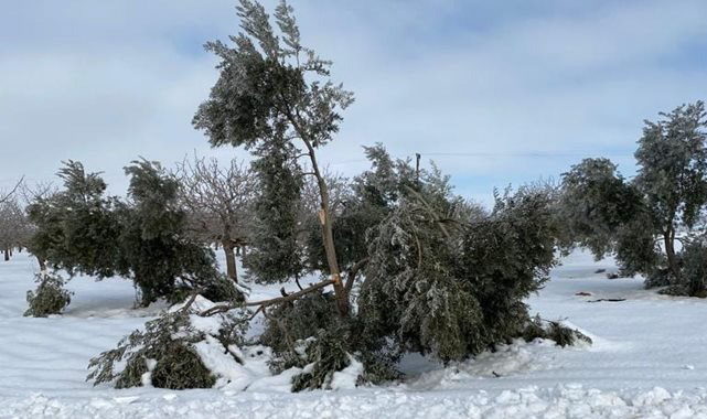 Karın zarar verdiği yerler afet bölgesi ilan edilsin