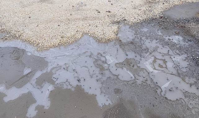 Meteorolojiden Şanlıurfa için kar ve don uyarısı!