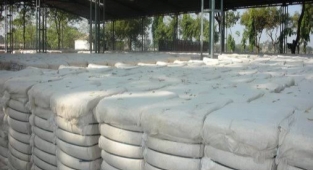 Preseli pamuk fiyatları açıklandı