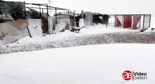 Şanlıurfa’da acil yardım çağrısı: Yiyecekleri kalmadı