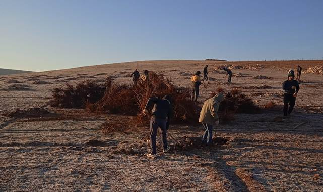 Şanlıurfa'da badem dikim sezonu başladı