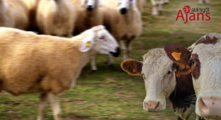 Şanlıurfa'da dudak uçuklatan ticaret hacmi