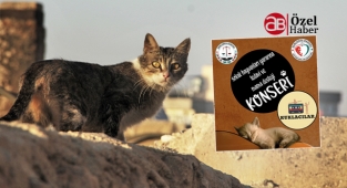 Şanlıurfa’da sokak hayvanları yararına konser düzenlenecek
