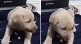 Şanlıurfa'da yürekleri ısıtan görüntü