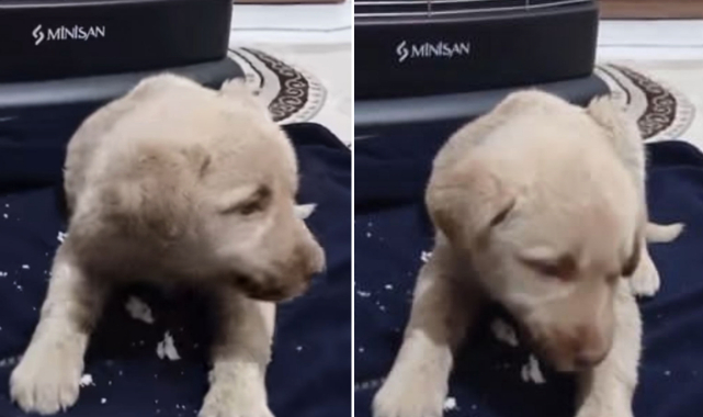 Şanlıurfa'da yürekleri ısıtan görüntü