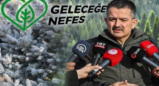 Türkiye genelinde 252 milyon fidan dikildi