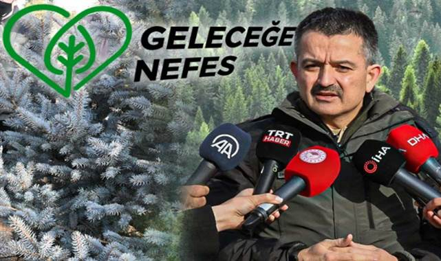 Türkiye genelinde 252 milyon fidan dikildi