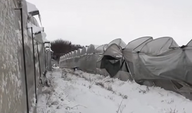 Urfa'da aşırı kar nedeniyle seralar çöktü