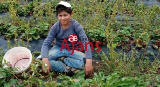 Urfa'da bir intihar daha! İple asılı halde bulundu