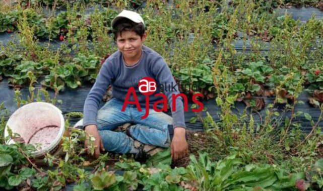 Urfa'da bir intihar daha! İple asılı halde bulundu