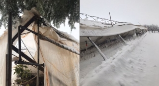 Urfa'da kar yağışı seraları vurdu