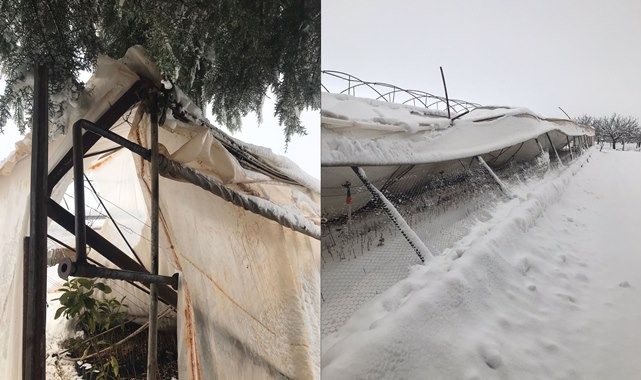 Urfa'da kar yağışı seraları vurdu