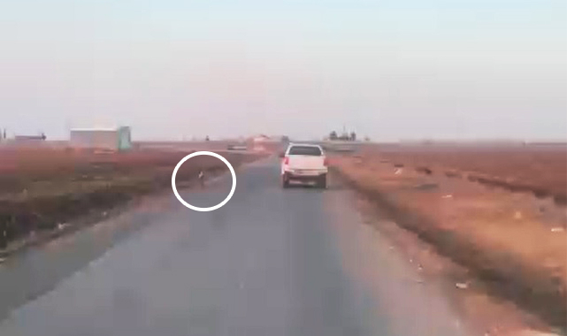 Viranşehir'de köpeğe ateş ederek kaçan şahıs yakalandı