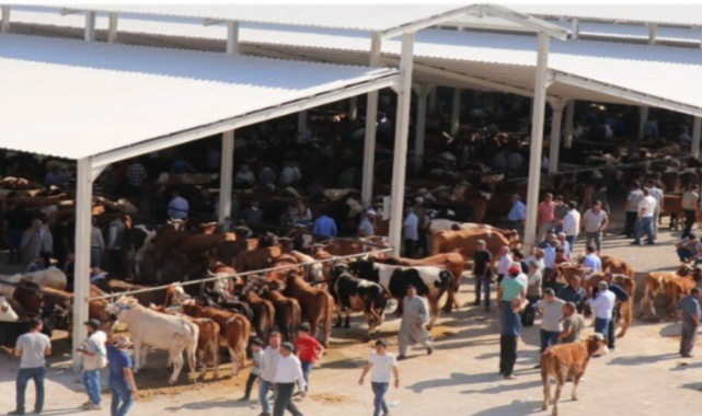 Yaylak Hayvan Pazarı hakkında flaş gelişme