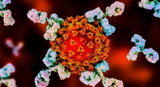 Bakan Koca: Virüs varlığını koruyor!