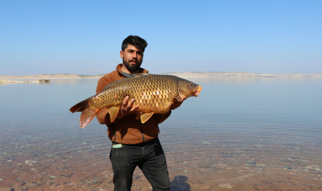 Balıkçılar, Bozova'da kıyasıya yarıştı