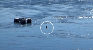 Birecik köprüsünde intihar girişimi