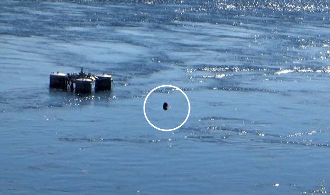 Birecik köprüsünde intihar girişimi