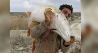 Bozova'da yakalanan balık şaşırttı