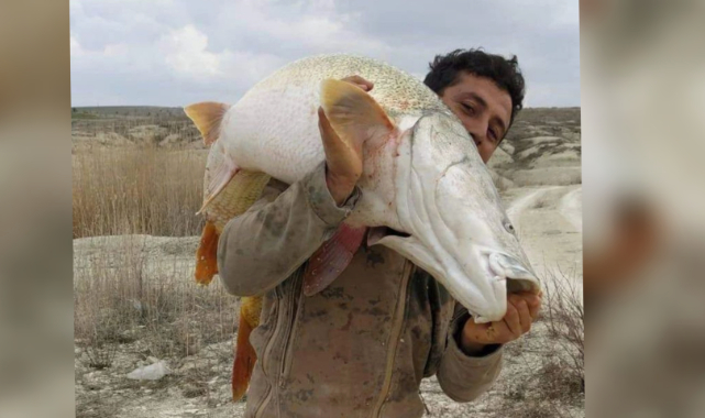 Bozova'da yakalanan balık şaşırttı