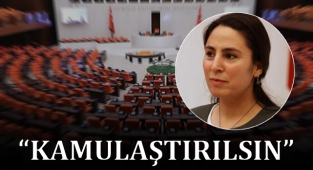 DEDAŞ için TBMM’ye kanun teklifi