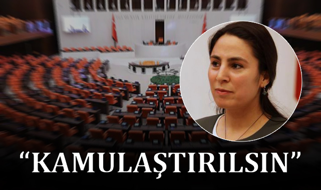 DEDAŞ için TBMM’ye kanun teklifi