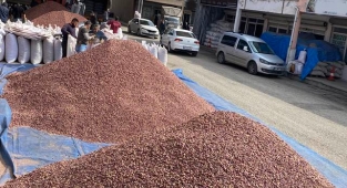 Fıstık fiyatları haftaya nasıl başladı