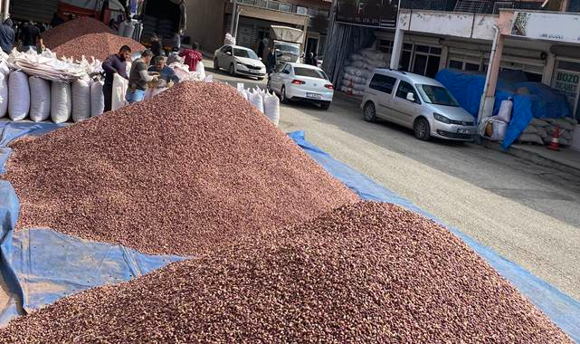 Fıstık fiyatları haftaya nasıl başladı