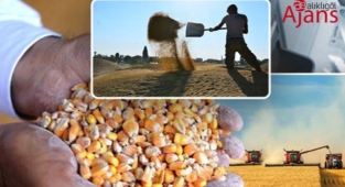 Günlük buğday, mercimek ve arpa fiyatları belli oldu