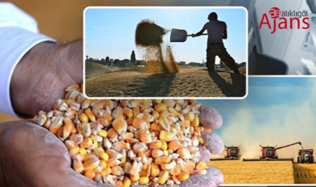 Günlük buğday, mercimek ve arpa fiyatları belli oldu