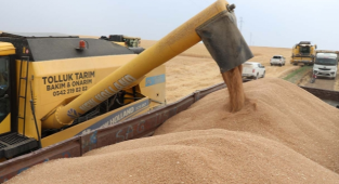 Günlük buğday ve hububat fiyatları belli oldu