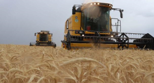 Günlük hububat ve bakliyat fiyatları belli oldu