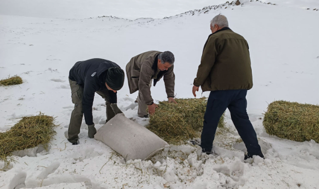 Kar örtüsü nedeniyle aç kalan hayvanlar unutulmadı