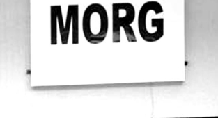 Şanlıurfa'da 8 kişi hayatını kaybetti