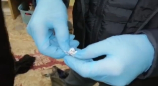 Şanlıurfa'da dev operasyon! 29 gözaltı