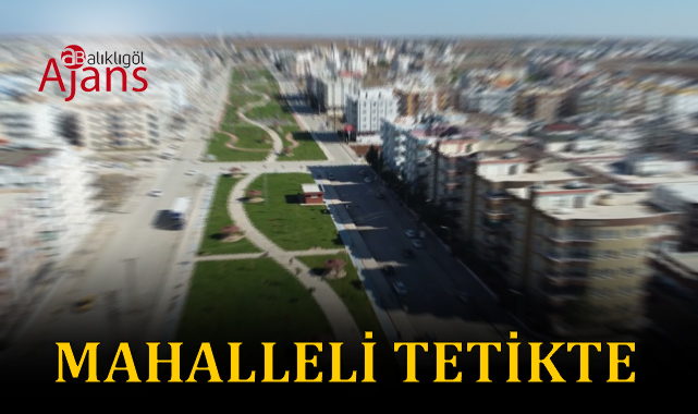 Şanlıurfa’da hırsızlar bu mahalleyi bezdirdi