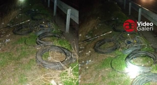 Şanlıurfa'da kablo hırsızları yakalandı