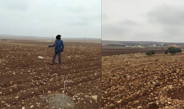 Şanlıurfa’da kaçak avlanan şahıslara suçüstü yapıldı