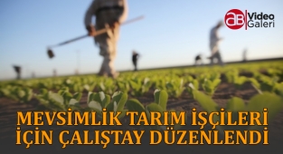 Şanlıurfa’da tarımla uğraşanların yarısından fazlasının hiç toprağı yok!