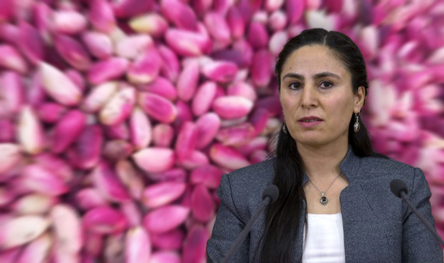 Şanlıurfa fıstığı meclise taşındı: Destekleme verilecek mi?