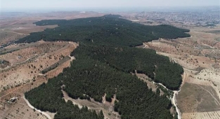 Şanlıurfa Gölpınar Tabiat Parkı canlılığını koruyor
