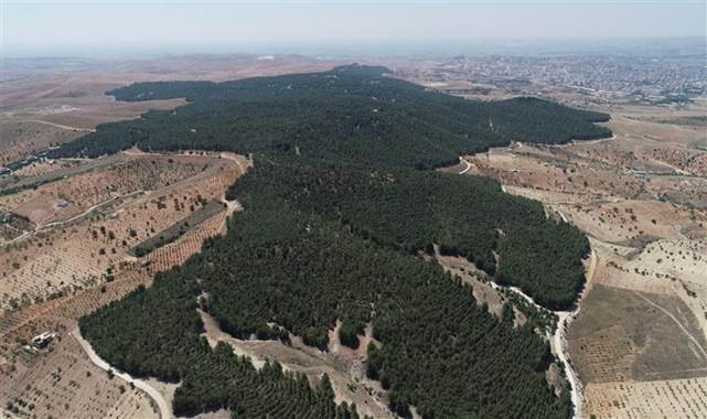 Şanlıurfa Gölpınar Tabiat Parkı canlılığını koruyor