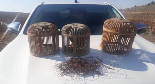 Suç üstü yapan ekipler ceza yağdırdı