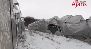 TARSİM: Üreticilere 92 Milyon TL hasar ödemesi yapılacak