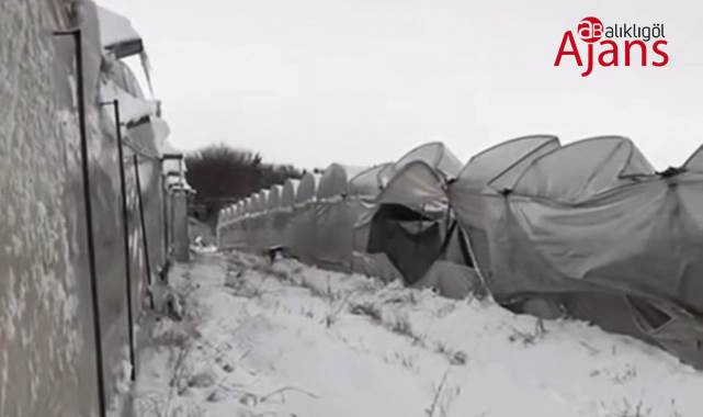 TARSİM: Üreticilere 92 Milyon TL hasar ödemesi yapılacak