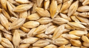 TMO'dan ucuza alınan hububat piyasada satılıyor