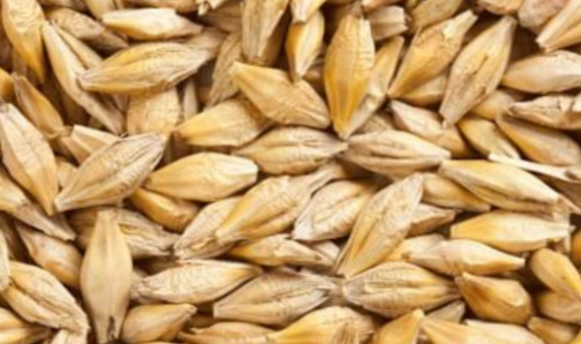 TMO'dan ucuza alınan hububat piyasada satılıyor