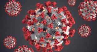 Türkiye'de tablo ağırlaşıyor! 221 kişi öldü