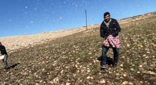 Urfa'da çiftçilik ilkel çağlara döndü