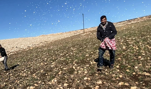 Urfa'da çiftçilik ilkel çağlara döndü
